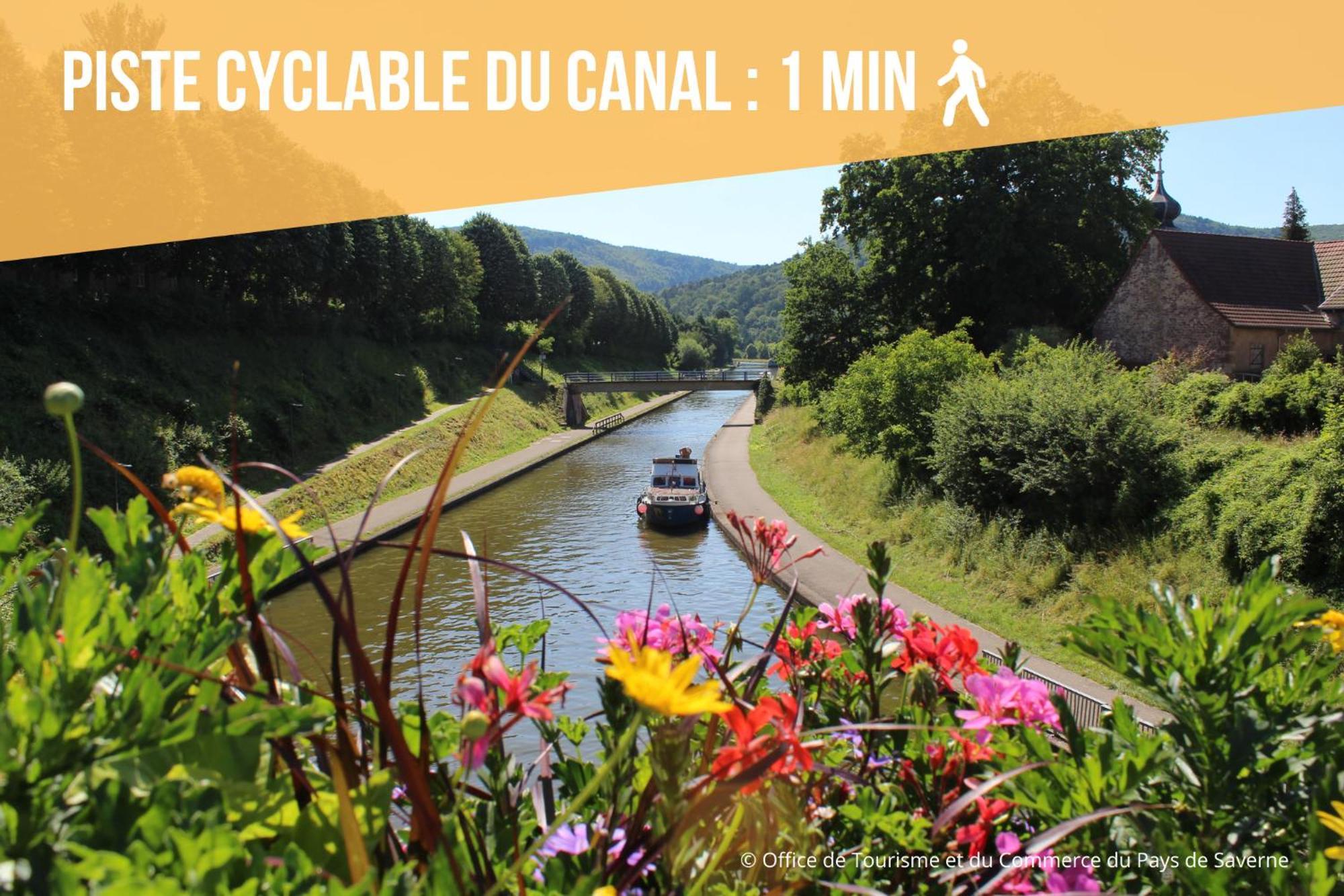 Les Rives Du Chateau, 90M2, Vue Sur Le Canal Saverne Exterior photo