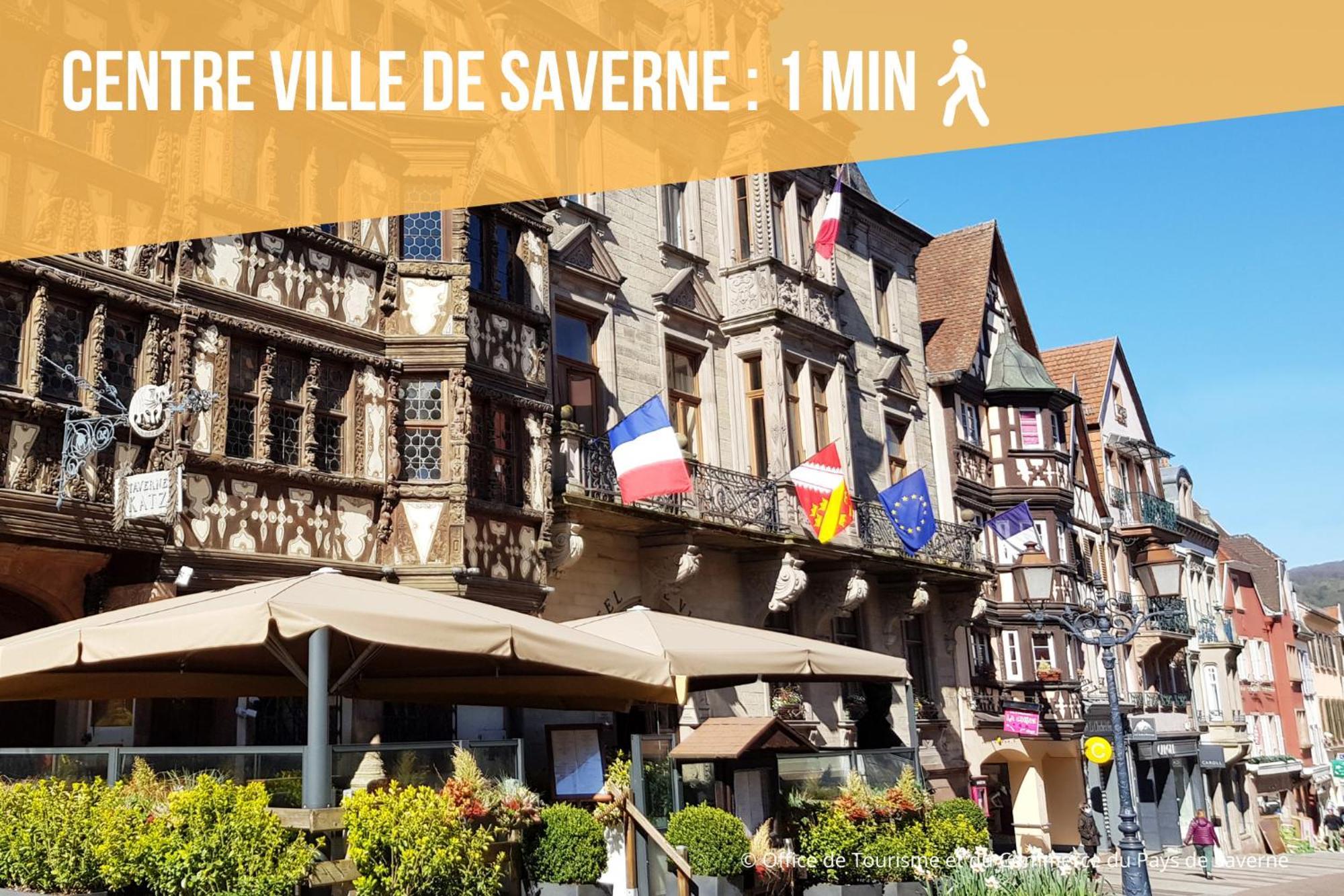 Les Rives Du Chateau, 90M2, Vue Sur Le Canal Saverne Exterior photo