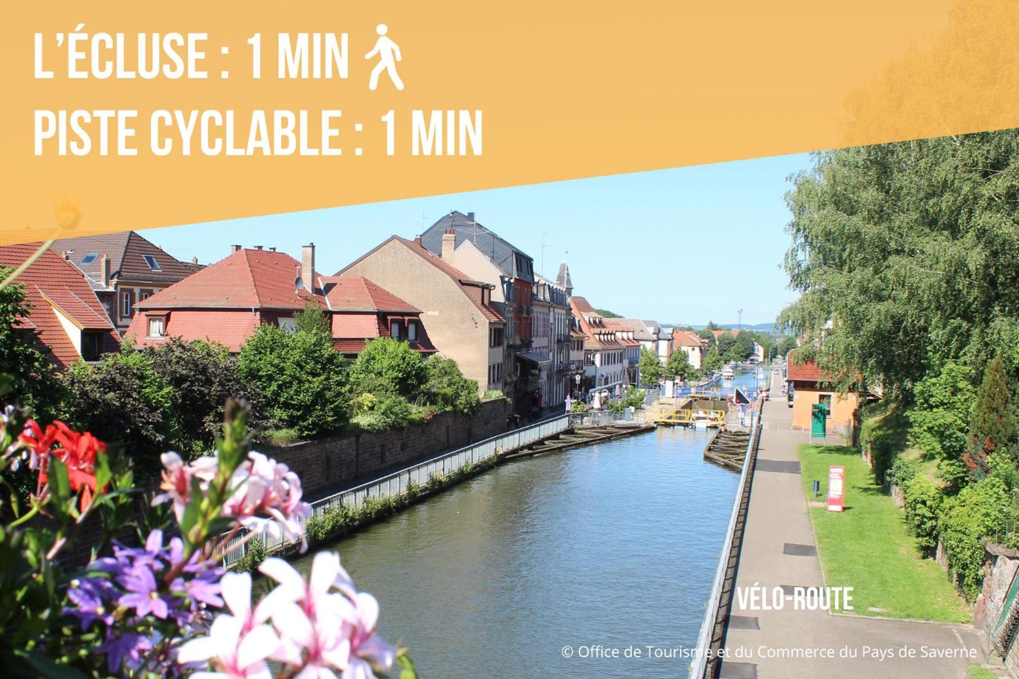 Les Rives Du Chateau, 90M2, Vue Sur Le Canal Saverne Exterior photo