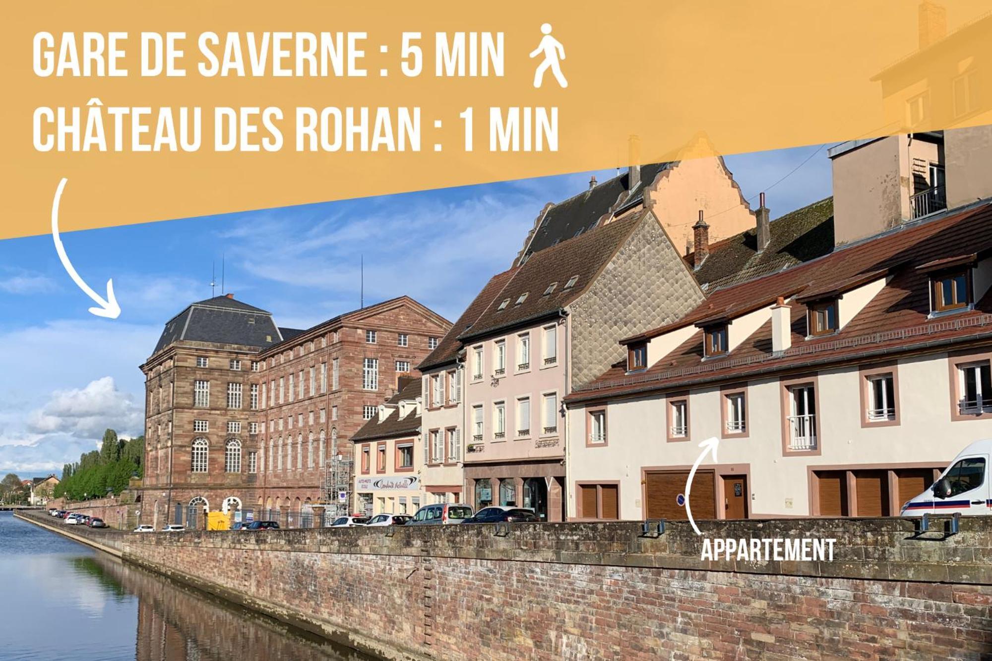 Les Rives Du Chateau, 90M2, Vue Sur Le Canal Saverne Exterior photo