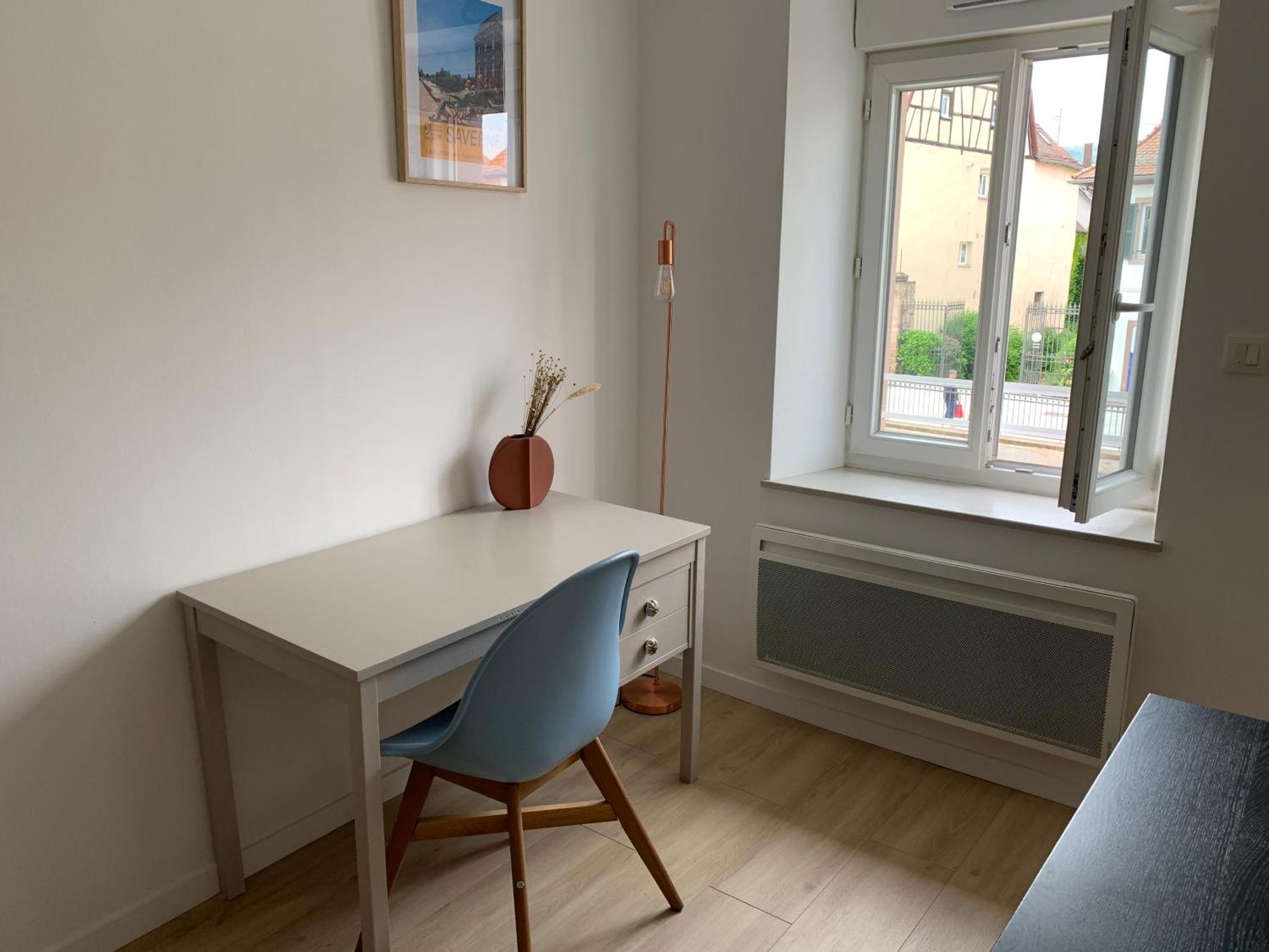 Les Rives Du Chateau, 90M2, Vue Sur Le Canal Saverne Exterior photo